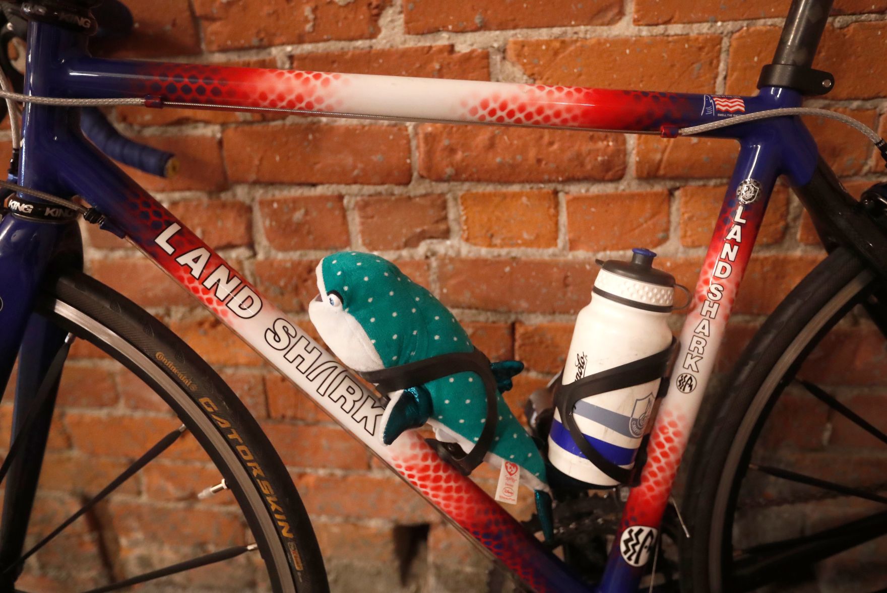 Linear Velocity : The Art of the Bicycle